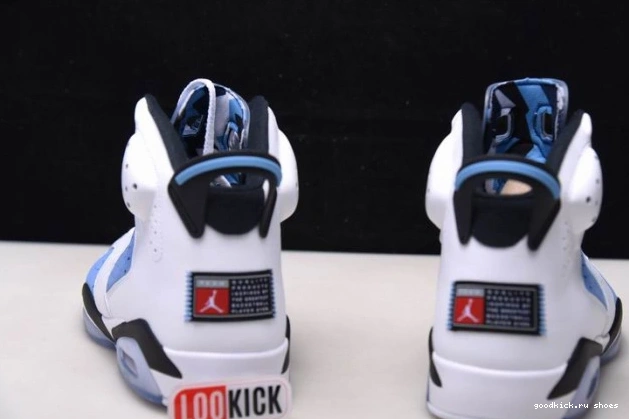 Cheap Air CT8529-410 UNC Jordan 6 0717